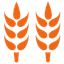 Rice Plant Icon